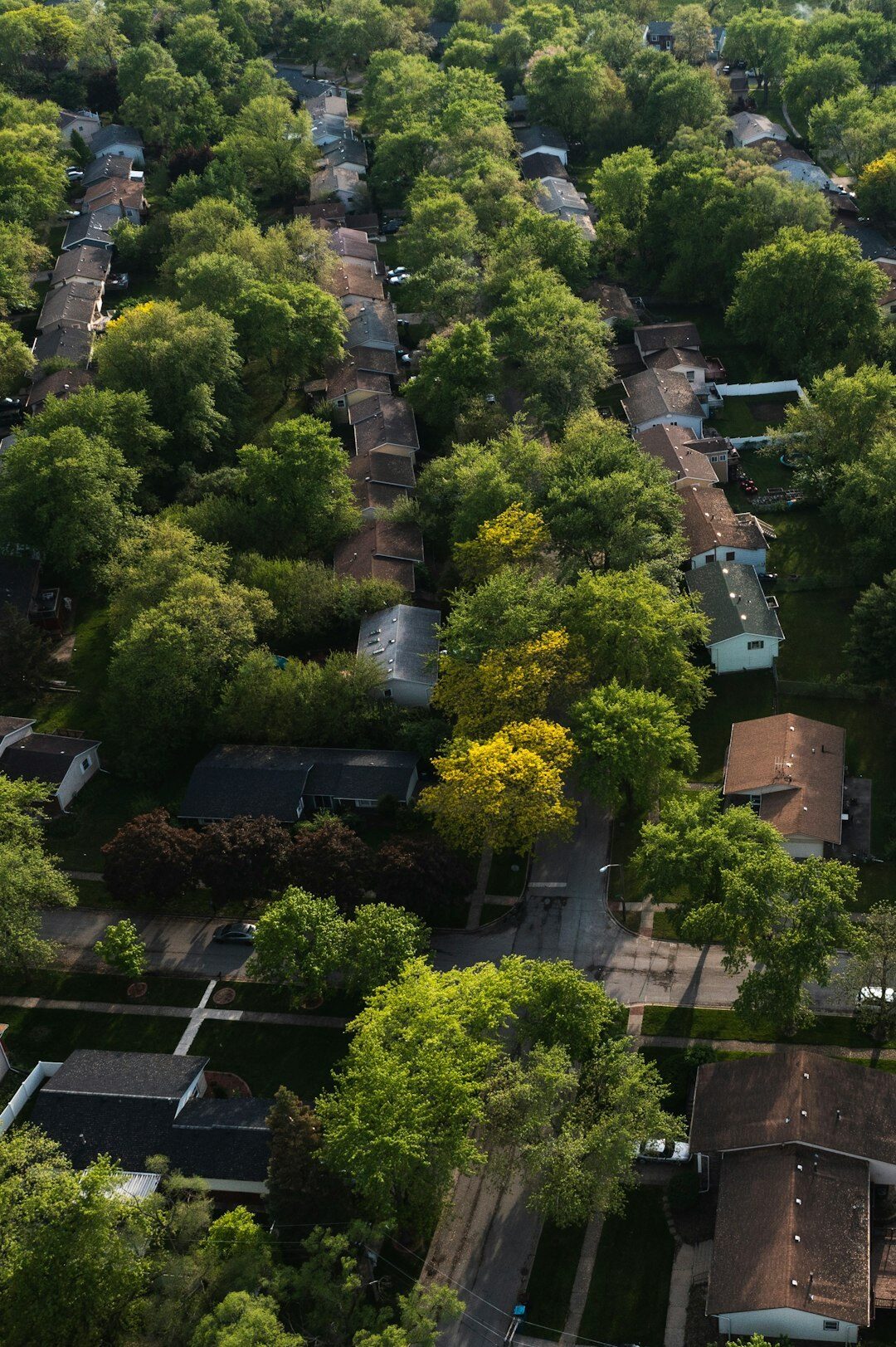 cozy senior neighborhood