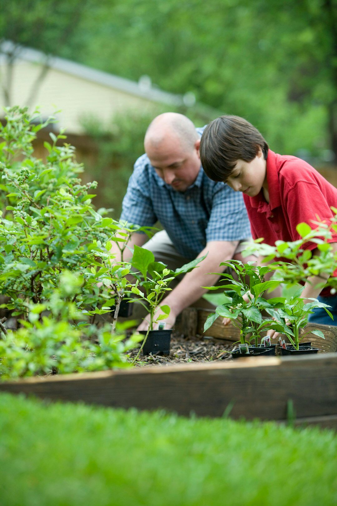 seniors gardening together